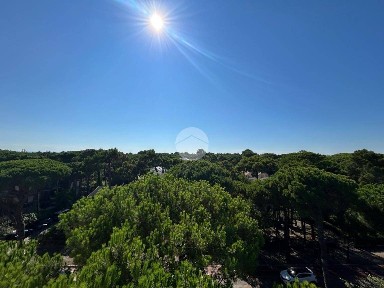 Bilocale viale Matteotti 140, Milano Marittima, Cervia