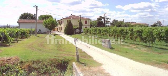 Appartamento all'asta via San Pier Laguna, Faenza