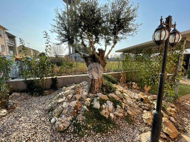 Trilocale via Bastia 14, Sant'Agata sul Santerno