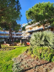 Cervia, Viale Titano