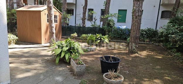Ravenna, Porto Corsini - Marina Romea, Viale delle Betulle