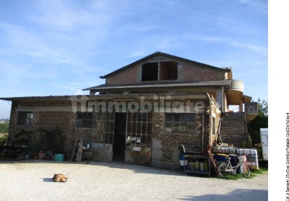 Capannone all'asta Località Sainale, Matelica