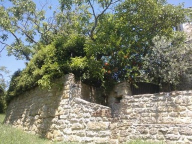 Casale via Bagnolo, Castrocaro Terme e Terra del Sole