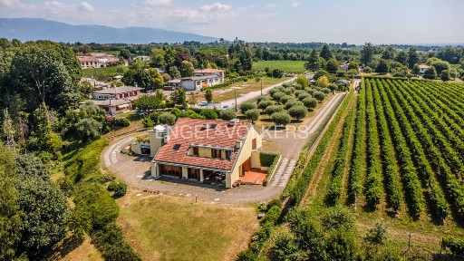 Villa unifamiliare via Pianale, Borgo Lozzo, San Pietro di Feletto