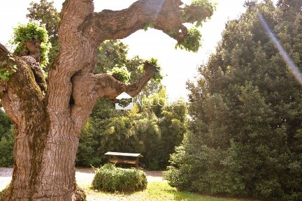 Villa unifamiliare via Don Francesco Tocchetti, Godega di Sant'Urbano