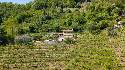 Villa unifamiliare via Giuseppe Lorenzoni, Cison di Valmarino