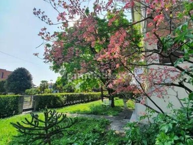 Villa unifamiliare via Terraglio No Number, Centro, Mogliano Veneto