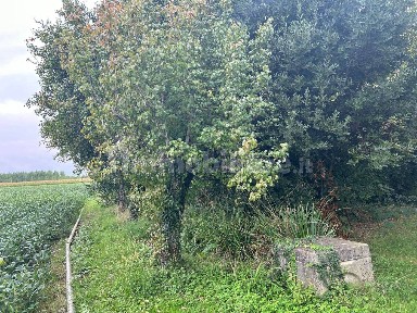 Treviso, San Lazzaro - Ghirada, Via Riccardo Selvatico