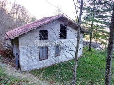 Carpineto della Nora, Strada Senza Nome