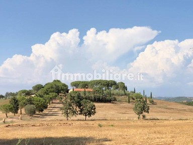 Villa unifamiliare, buono stato, 900 m², Capalbio
