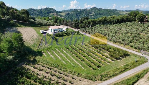 Capannone in Vendita