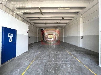 Cesena, Centro Urbano
