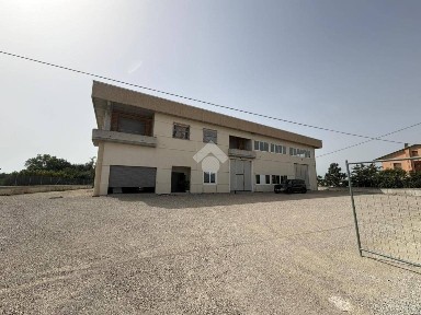 Capannone in Affitto