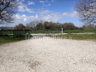 Capannone in Affitto