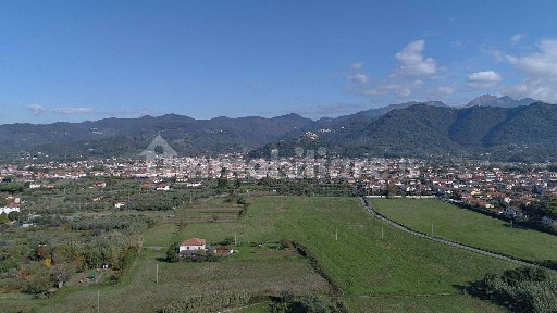 Luni