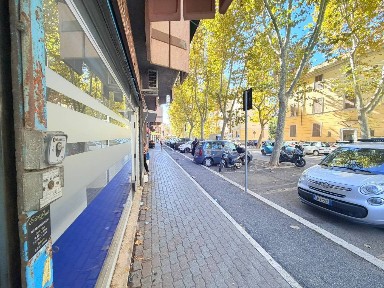 Civitavecchia, Viale Guido Baccelli