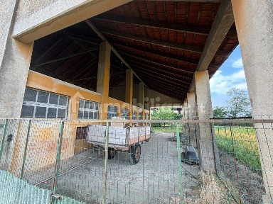 Frascarolo, Cascina Farina