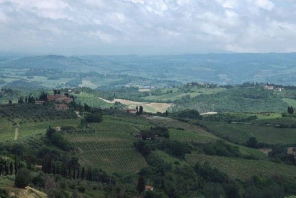 Rustico - casale all'asta, Curtatone