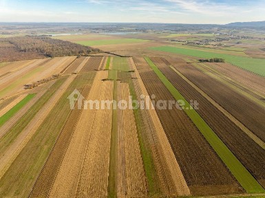Rustico - casale all'asta, Tursi