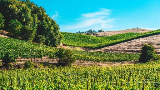 Rustico - casale all'asta, Casacanditella