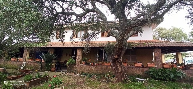 Azienda agricola all'asta Località Murru Cogone, Samugheo