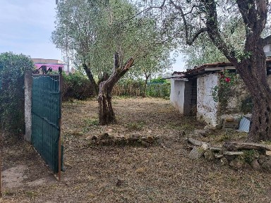 Cascina Strada Provinciale per Sant'Onofrio, Pizzo