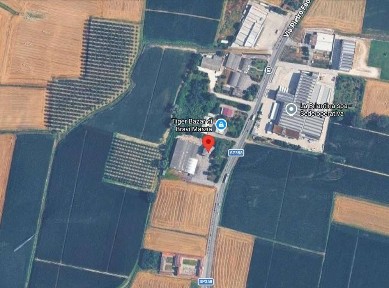 Appartamento all'asta via Pietro Federici, 132, Casalmaggiore