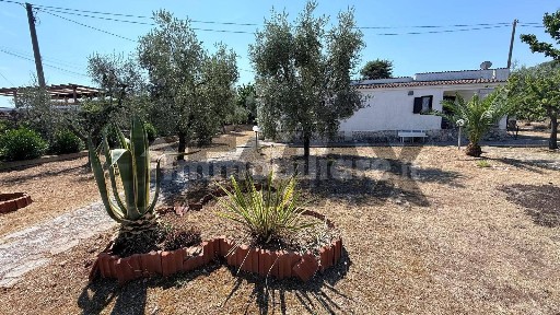 Vieste, Località Montincello, snc