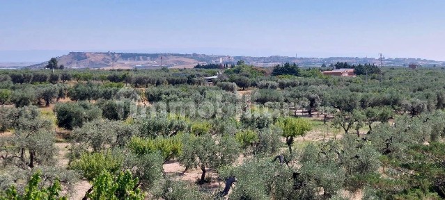 Villa plurifamiliare Contrada Berardinone, Lucera