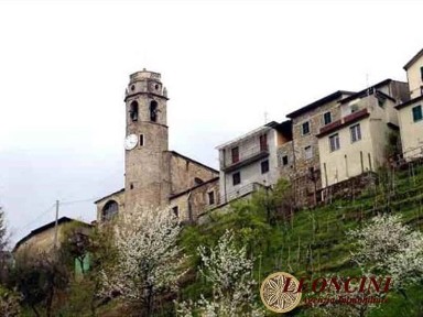 Filattiera, Borgo Santa Maria 14