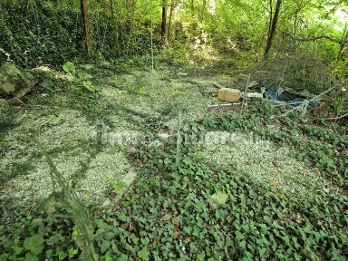 Capannone all'asta via Fusa 12, Predappio
