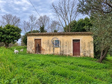 Casale Contrada Cerasia, Borgia