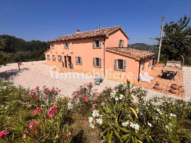 Casa colonica via della Pieve, Cartoceto
