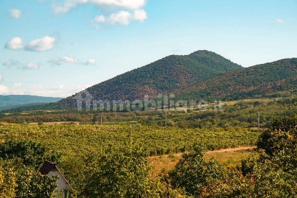Rustico - casale all'asta, Tavoleto