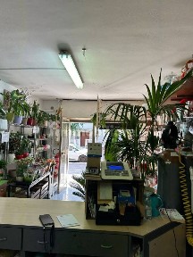 Locale commerciale in Affitto
