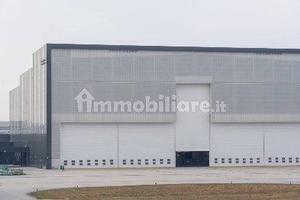 Negozio all'asta, Forlì