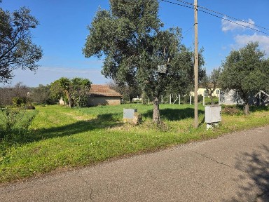 Casa colonica via Casale dei Monaci 30, Cinque Archi, Velletri