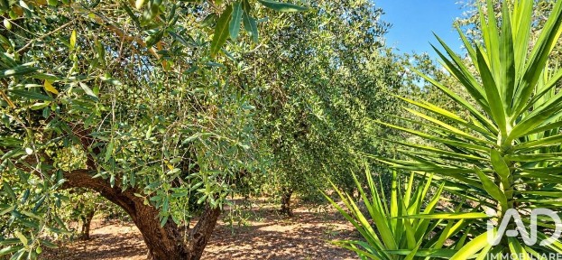Montorio al Vomano, Località CONTRADA COLLATUNO, 10