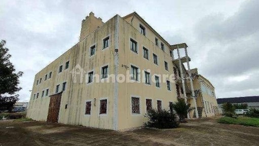 Capannone all'asta via Cettolini, Snc, Elmas