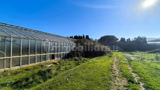 Capoterra, Località Is Piscinas, 4