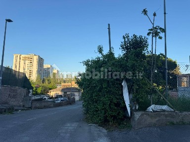 Magazzino - Deposito in Affitto