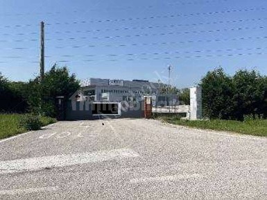 Capannone all'asta via della Costituzione, 151, Spinea