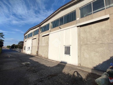 Capannone in Affitto