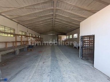 Capannone in Affitto