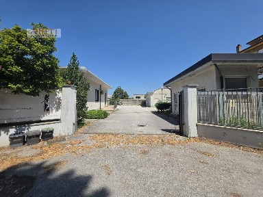 Attività commerciale in Affitto