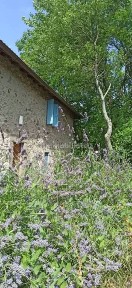 Terratetto unifamiliare via Barbarasco, Monchio delle Corti