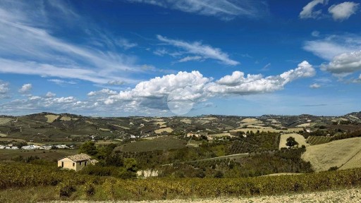 Rustico Contrada Tesino, Offida