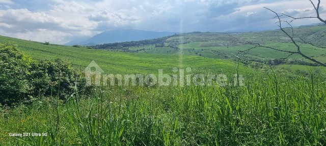Castel di Lama, Contrada Colle Cese