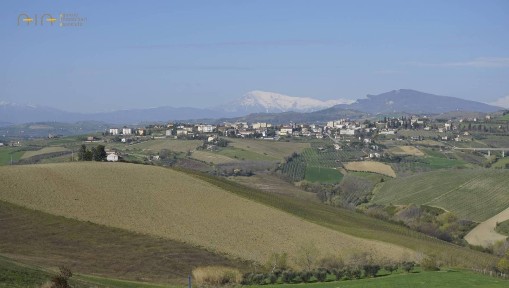 Rustico Contrada San Lazzaro, Offida
