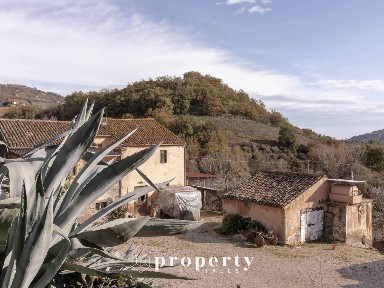 Rustico C.da San Rustico 17, Ripatransone